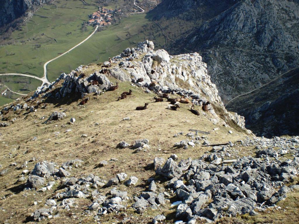 Viviendas De Uso Turistico La Arboleda I Y II 科隆布雷斯 外观 照片